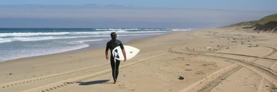 silver-landes-surf-camp